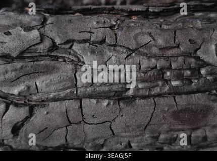 Verbranntes Holz Nahaufnahme Kohlenstoff Hintergrund Stockfoto