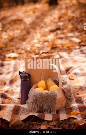 Gemütliches Herbstpicknick im Wald mit frischem Obst und warmer Decke Stockfoto