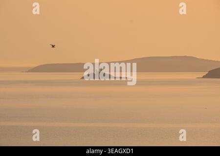 St Ives Beach mit seinem Leuchtturm, der sich vor einem goldenen Sonnenuntergangshimmel über dem ruhigen Meer in Cornwall, England, mit einer Seevögelfliege abhebt Stockfoto