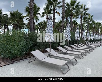 Leere Liegestühle und geschlossene Sonnenschirme am Pool mit Palmen, Urlaubskonzept Stockfoto