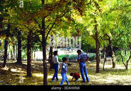 Eine vierköpfige Familie, darunter zwei Kinder, spaziert an einem sonnigen Tag durch einen bewaldeten Park. Stockfoto