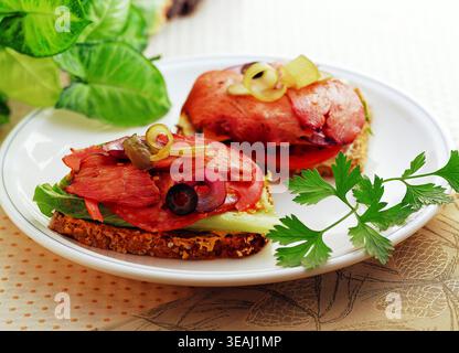 Ein Teller mit offenen Sandwiches mit Räucherlachs, frischem Gemüse und Kräutern, serviert auf einem Tisch mit dekorativer Tischdecke. Stockfoto