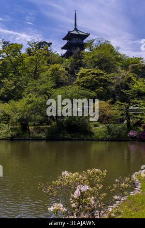 Malerischer Blick auf einen klassischen Pagode-Turm, umgeben von Bäumen und Wasser in Japan Stockfoto
