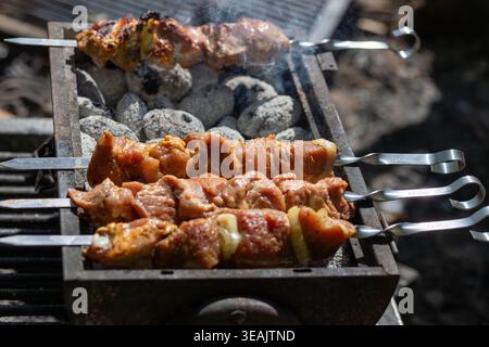 Nahaufnahme von marinierten Fleischspießen, die auf einem Grillgrill mit weißen Kohlen rösten. Authentische Sommergerichte während einer Veranstaltung im Freien. Stockfoto