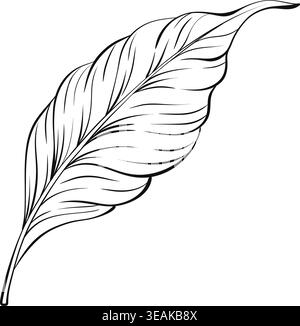 Hand gezeichneter Kaffee Blatt Kontur Vektor, schwarz und weiß botanische Linie Kunst Illustration, Minimal Natur Clipart Stock Vektor