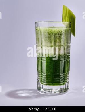 Farbenfrohe Präsentation Von Gemüsesäften. Hellgrüner Smoothie In Glas Mit Mehrschichtigem Schaum Und Limettenüberzug Stockfoto