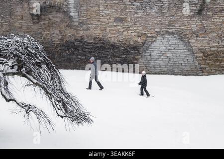 Tallinn, Estland - 03. Januar 2025: Blick auf Menschen, die das schneebedeckte Gelände in der Nähe der imposanten Steinmauern durchqueren, ein starker Kontrast aus kaltem Stein A Stockfoto