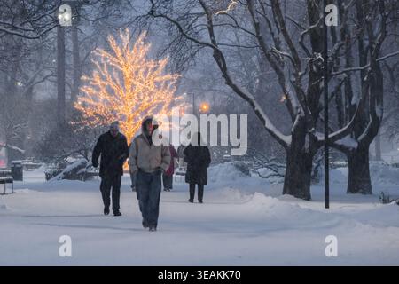 Tallinn, Estland - 03. Januar 2025: Blick auf Menschen, die sich dem schneebedeckten Park widersetzen, beleuchtet durch das warme Leuchten eines dekorativen Baumes in der Nähe des Freedom Squ Stockfoto