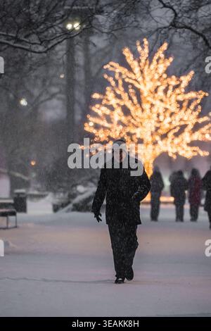 Tallinn, Estland - 03. Januar 2025: Blick auf einen schneebedeckten Park, in dem ein Mann an einem leuchtenden Baum vorbeigeht, ein Leuchtfeuer der Wärme gegen die krasse, winterliche Ba Stockfoto