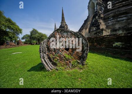 Entkapitulierte Buddha-Statue aus Stein mit großen Baumwurzeln, die um sie im Wat Mahathat, Ayutthaya, Thailand wachsen – ein ikonisches Symbol für Natur und Glauben. Stockfoto