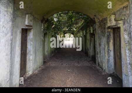 Bewachsener Steinbogen und Gräber auf dem Londoner Highgate Cemetery Stockfoto