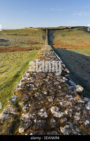 Ein Abschnitt der Hadrian's Wall, zwischen dem Knag Burn Gateway und dem Housesteads Roman Fort in Northumberland, Großbritannien Stockfoto
