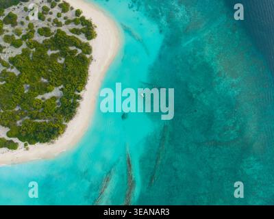 Blick aus der Vogelperspektive auf das strahlende türkisfarbene Wasser, das den unberührten weißen Sand und das grüne Grün der tropischen Insel Hoarafushi, Thiladhunmathe umschließt Stockfoto