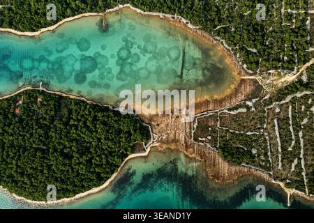 Aus der Vogelperspektive das pulsierende, türkisfarbene Wasser trifft auf die zerklüftete Küste, im Kontrast zu den dichten grünen Wäldern, Primošten, Šibenik-Knin County, C. Stockfoto