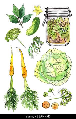 Gläser mit fermentiertem Gemüse. Sauerkraut, Karotten, Dill in einem Glas. Aquarellillustration von Lebensmitteln auf weißem Hintergrund. Farbe und Tinte Stockfoto