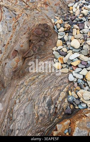 Felsschichten und Kieselsteine am Strand von Little Haven, Pembrokeshire, Großbritannien Stockfoto