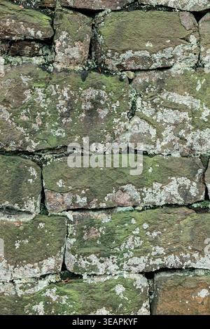Alte Steinmauer mit Moos- und Flechtenstruktur. Stockfoto