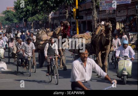 Kamelkarren teilen sich die belebte Straße mit Pendlern auf Fahrrädern und Motorrollern in Jaipur, Rajasthan, Indien. Stockfoto