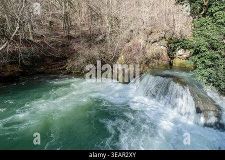 Rauschende Wasserfälle kaskadieren über Felsen in einer lebendigen natürlichen Waldlandschaft Stockfoto