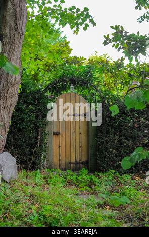 Zauberhaftes hölzernes Gartentor in einer grünen Hecke, umgeben von üppigen Bäumen und Wäldern. Stockfoto