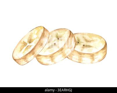 Handgemalte Aquarellillustration von drei runden Bananenscheiben. Mit realistischen Texturen des cremigen Fruchtbretts und zarten Details des Stockfoto