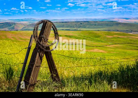 Stacheldraht, der von einem Zaun auf einem Bauernfeld übrig geblieben ist Stockfoto