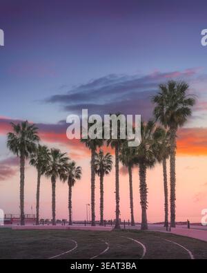 Vertikale Landschaft bei Sonnenuntergang mit Palmen an der Küste von Santo Stefano al Mare. Farbenfroher Himmel über der Riviera dei Fiori, Provinz Imperia, Ligurien Stockfoto