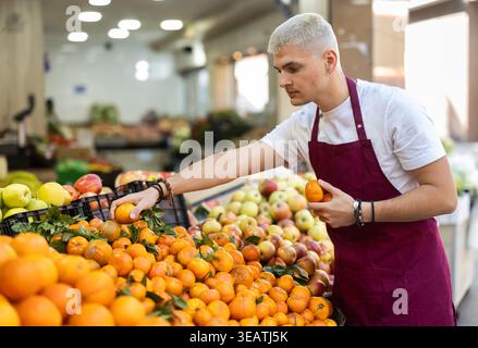 Arbeiten im Supermarkt - männlicher Verkäufer sortiert reife Mandarinen auf der Vitrine Stockfoto