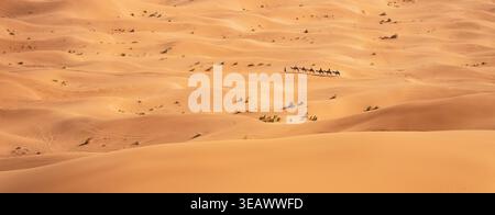 Touristen reiten tagsüber über über die Sanddünen in Erg Chebbi bei Merzouga auf Kamelen. Die heiße Sonne erleuchtet die weiten und durchgehenden Dünen der Sahara. Stockfoto