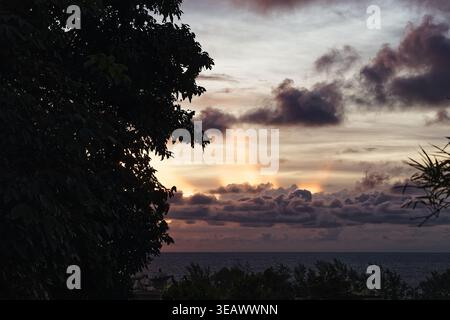 Dramatische Dämmerung über dem Ozean mit strahlenden Sonnenstrahlen, die durch stimmungsvolle Wolken dringen, eingerahmt von einer dunklen Baumsilhouette in einer ruhigen Landschaft. Stockfoto