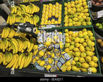 Obstregal in einem Supermarkt. Die Farbe Gelb dominiert hier: Bananen, Zitronen. Stuttgart, Baden-Württemberg, Deutschland Stockfoto