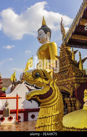 Riesiger vergoldeter sitzender Buddha, vor einem mystischen Drachenkopf, vor dem buddhistischen Tempelkomplex Wat Phra That Doi Kham, Chiang Mai, Thailand Stockfoto