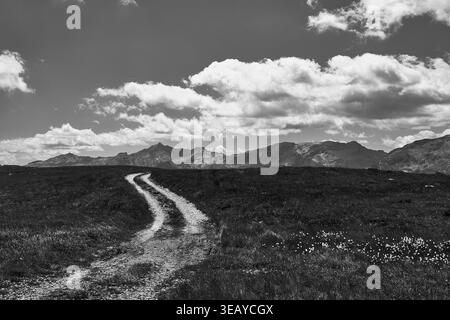 Schwarz-weißer Bergpfad durch die Almwiesen in Valchiavenna, Lombardei, Italien, unter dramatischen Wolken und zerklüfteten Gipfeln Stockfoto