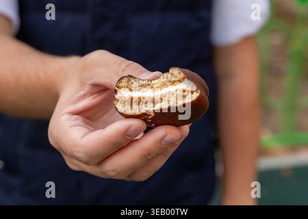 Runder Biskuitkuchen mit Schokolade in der Menschenhand, Nahansicht. Zwei Schichten Biskuitkuchen mit einer Marshmallow- oder Souffelschicht, bedeckt mit Schokoladenglasur Stockfoto