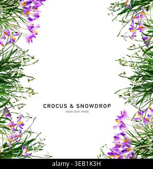 krokus, Schneeglöckchen, Krokus und Schneeglöckchen, Schneeglöckchen Stockfoto