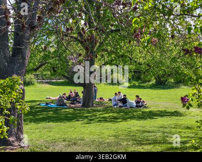 Prag, Tschechische Republik - 23. April 2026: Junge Erwachsene, die sich auf dem Parkrasen unter großen Bäumen ausruhen, auf Decken sitzen und bei warmem Tageslicht gesellig sein. Stockfoto
