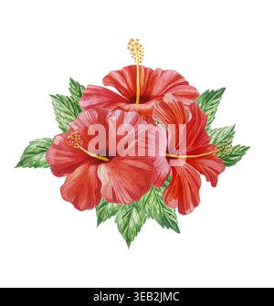 Aquarellroter Hibiskus-Blumenstrauß mit grünen Blättern. Handgezeichnetes botanisches Kunstwerk in realistischem, detailliertem Stil. Auf weißem Hintergrund für Einladung Stockfoto
