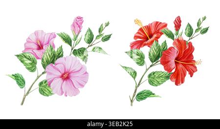 Set von zwei Hibiskuszweigen isoliert auf weiß. Handgemalte Aquarelle mit tropischen Blumen Clipart. Realistische detaillierte botanische Darstellung Stockfoto