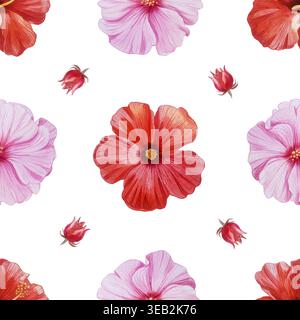 Rote und rosafarbene Hibiskusblüten in nahtlosem Aquarellmuster. Handgezeichnete tropische blühende Pflanze auf dunklem Hintergrund. Realistische Detailzeichnung Stockfoto