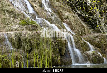 Wasserfall über moosige Felsen mit grünem Schilf Stockfoto