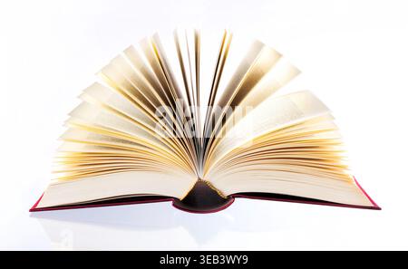 Bildung, Buch, Wissen, Bildung, Bücher, Fachkenntnisse Stockfoto