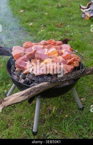 Rohe marinierte Fleischstücke, die auf Holzkohlegrill im Freien mit Rauch und natürlichem Hintergrund kochen, Grillzubereitung Stockfoto