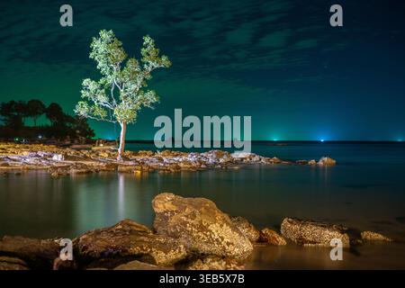 Ein einzelner Baum wird nachts an der felsigen Küste mit ruhigem Meer am Klong Muang Beach Krabi Thailand beleuchtet Stockfoto