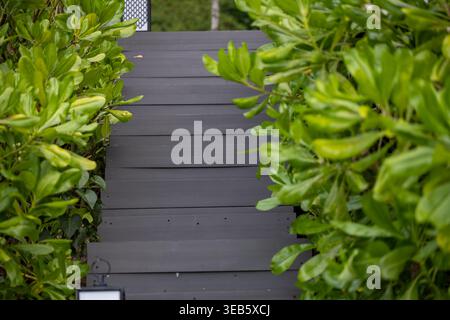 Holztreppe umgeben von dichter grüner Vegetation am Tubkaek Beach Krabi Thailand. Natürlicher Pfad führt durch tropischen Garten. Stockfoto