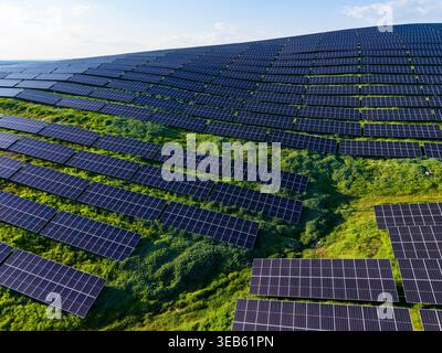 Ein riesiges Feld von Solarpaneelen erstreckt sich über einen Hügel. Die Panels sind reihenweise angeordnet und gegen grünes Gras gestellt, um das Sonnenlicht für Energie g einzufangen Stockfoto