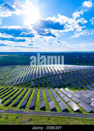 Reihen von Solarpaneelen erstrecken sich über ein grünes Feld. Helles Sonnenlicht reflektiert von den Panels, während Wolken am blauen Himmel über ihnen schweben. Die Umgebung ist riesig Stockfoto