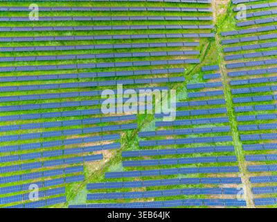 Ein riesiger Bereich mit Solarpaneelen, die in ordentlichen Reihen angeordnet sind, erstreckt sich über ein grünes Feld. Die Sonne scheint tagsüber auf die Paneele, Highlight Stockfoto
