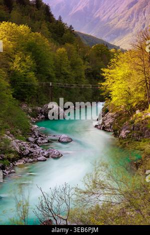 Blick auf den türkisfarbenen Fluss Soca, der durch ein üppiges grünes Waldtal mit einer hölzernen Hängebrücke und nebeligen Bergen Slowenien fließt. Stockfoto