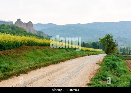 Blick auf die Tonformationen der Balze del Valdarno entlang einer unbefestigten Straße mit gelben Blumenfeldern und sanften Hügeln in Piantravigne, Toskana, Italien. Stockfoto