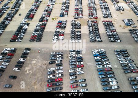 Neue Pickup-Trucks parken in Reihen auf einem riesigen Parkplatz und warten auf den Vertrieb Stockfoto